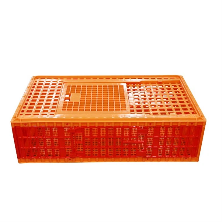 Plastic Broiler Transport Box