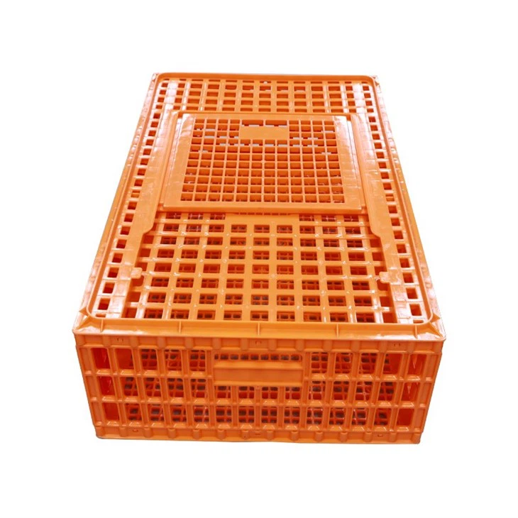Plastic Broiler Transport Box